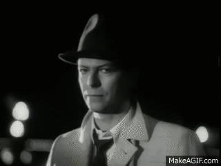 Bowie GIF me reacting when some act as if only Sig Kids